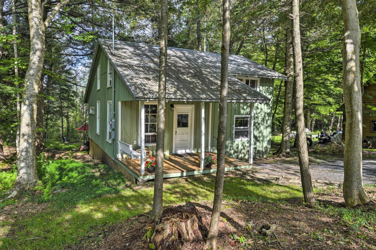 Adirondacks Cabin With Fire Pit On Otter Lake! Forestport Kültér fotó